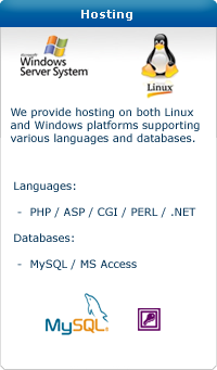 Web Hosting Service