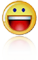 click here for Yahoo messenger : Web Design Services